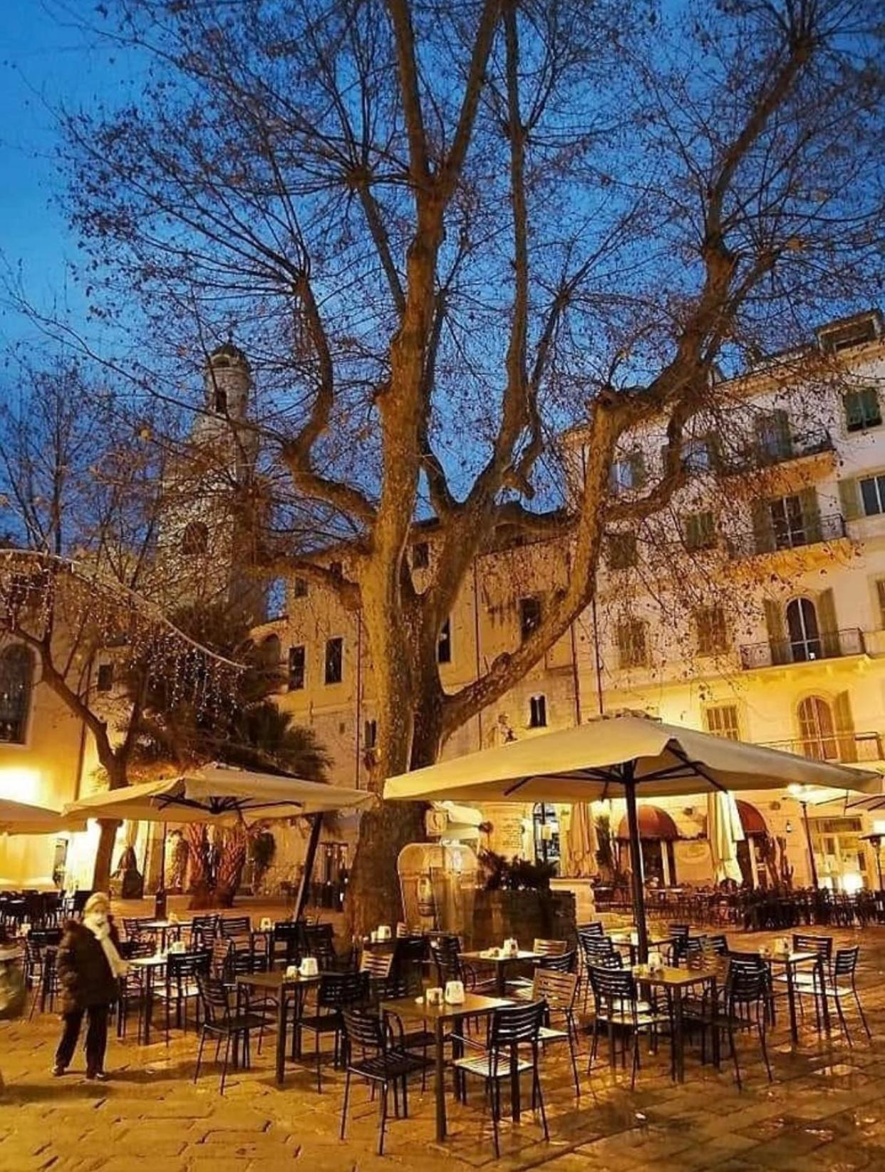 Ferienwohnung Casa Girasole Sanremo Centro Exterior foto